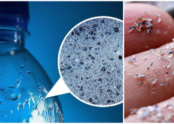 «Το εμφιαλωμένο νερό περιέχει μεγαλύτερη ποσότητα μικροπλαστικών απ’ ότι το νερό της βρύσης»