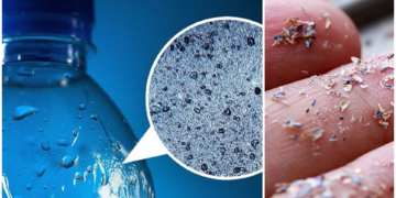 Alldaynews.gr «Το εμφιαλωμένο νερό περιέχει μεγαλύτερη ποσότητα μικροπλαστικών απ’ ότι το νερό της βρύσης»