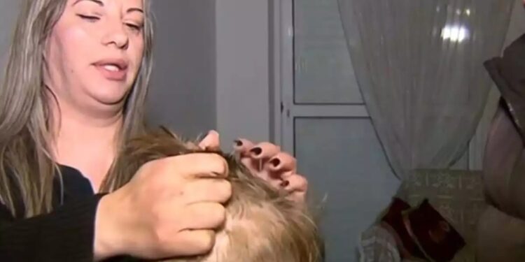 Alldaynews.gr Νηπιαγωγός κούρεψε 5χρονο γιατί δεν της άρεσαν τα μαλλιά του – «Η κυρία είπε ότι αν δεν τα κόψω θα φωνάξει την αστυνομία»