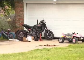 Μωpό έχασε τη ζωή του από επίθεση σκύλων στο σπίτι του (φωτο, video)