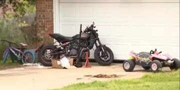 Alldaynews.gr Μωpό έχασε τη ζωή του από επίθεση σκύλων στο σπίτι του (φωτο, video)