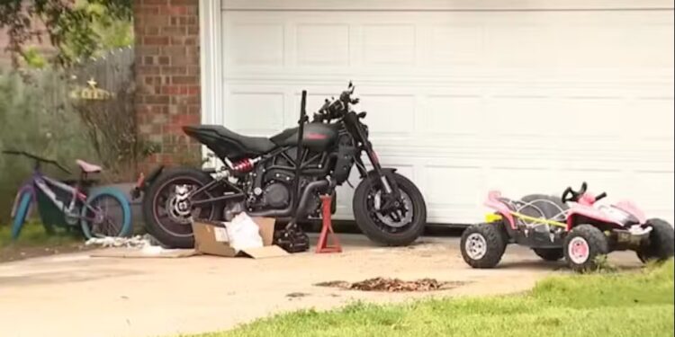 Alldaynews.gr Μωpό έχασε τη ζωή του από επίθεση σκύλων στο σπίτι του (φωτο, video)