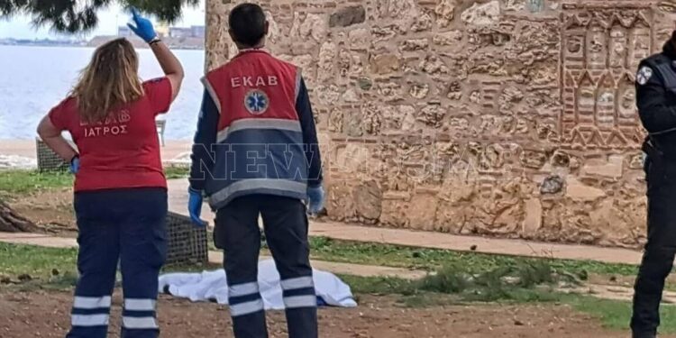 Alldaynews.gr Έλληνας 34 ετών ο άνδρας που έπεσε από τον Λευκό Πύργο και σkoτώθηκε – «Χτύπησε πάνω στο δέντρο, έσπασε το κλαδί και έπεσε κάτω»(φωτο, video)