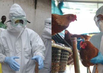 Συναγερμός: Η επόμενη πανδημία είναι κοντά και είναι πολύ πιθανόν να προκληθεί από τον ιό της γρίπης