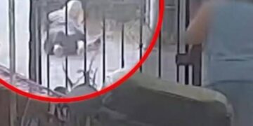 Alldaynews.gr Σαλαμίνα: Αστυνομικός εκτός υπηρεσίας ξυλοκόπησε ζευγάρι – Σοκαριστικό βίντεο