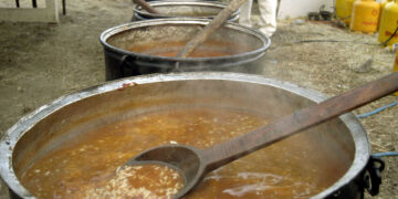 15χρονος και η μητέρα του με φριχτούς πόνους από την αλλοιωμένη προβατίνα – «Είχαμε κιτρινίσει από τους εμετούς»