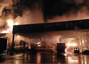 Καίγεται ολοσχερώς το εργοστάσιο που εμπλέκεται στην υπόθεση μαζικής τροφικής δηλητηρίασης μαθητών (video)