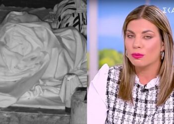 Alldaynews.gr Survivor 2024: Κι όμως δεν είναι ο Περπατάρης και το αποκάλυψε η Σταυρούλα Χρυσαειδή – «Είχα φλερτ στο παιχνίδι και όχι με αυτόν που νομίζετε»