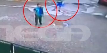 Alldaynews.gr 53χρονος κατήγγειλε κακοποίηση ζώου και του έριξαν μολότοφ στο σπίτι του – «Δεν μπορώ να κυκλοφορήσω»