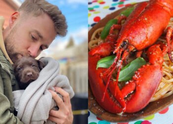 Πληρώνει μια περιουσία για να ταίζει τον σκύλο του: Σάλος με 30χρονο, του δίνει μόνο πανάκριβα γκουρμέ φαγητά