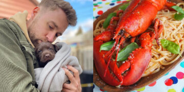 Alldaynews.gr Πληρώνει μια περιουσία για να ταίζει τον σκύλο του: Σάλος με 30χρονο, του δίνει μόνο πανάκριβα γκουρμέ φαγητά