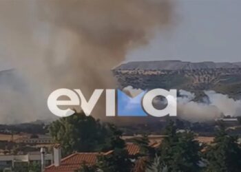 Στις φλόγες και η Εύβοια: «Η φωτιά στο Κοντοδεσπότι είναι μεγάλη», λέει ο δήμαρχος – Μάχη από γη και αέρα με πολλά μποφόρ