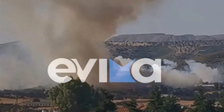 Alldaynews.gr Στις φλόγες και η Εύβοια: «Η φωτιά στο Κοντοδεσπότι είναι μεγάλη», λέει ο δήμαρχος – Μάχη από γη και αέρα με πολλά μποφόρ