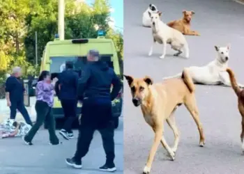 Alldaynews.gr Την κατασπάραξαν: Auτή εivαι η άτυχη 44χρονη μητέρα που της επιτέθηκε αγέλη σκύλων έξω από το σπίτι της