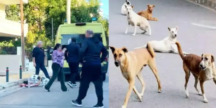 Την κατασπάραξαν: Auτή εivαι η άτυχη 44χρονη μητέρα που της επιτέθηκε αγέλη σκύλων έξω από το σπίτι της