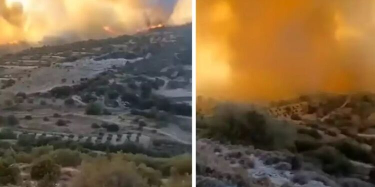 Μεγάλη φωτιά στην Κύπρο! Εκκενώνονται χωριά στην Πάφο – Ξεκίνησαν αεροσκάφη και από Ελλάδα