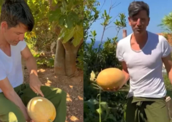 Αγαπά τη φύση και τον συγκινεί: Ο Σάκης Ρουβάς έβγαλε το πρώτο πεπόνι από το μποστάνι του