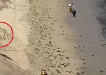 Kite surfer παγιδεύτηκε σε απομονωμένη παραλία και σώθηκε γράφοντας «βοήθεια» (video)