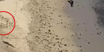 Kite surfer παγιδεύτηκε σε απομονωμένη παραλία και σώθηκε γράφοντας «βοήθεια» (video)