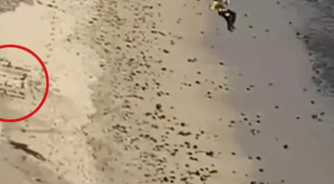 Kite surfer παγιδεύτηκε σε απομονωμένη παραλία και σώθηκε γράφοντας «βοήθεια» (video)