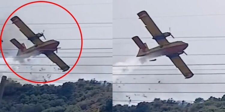 Μυθικό ξύλο σε μαγαζί της Χαλκιδικής υπό τους ήχους techno μουσικής (video)