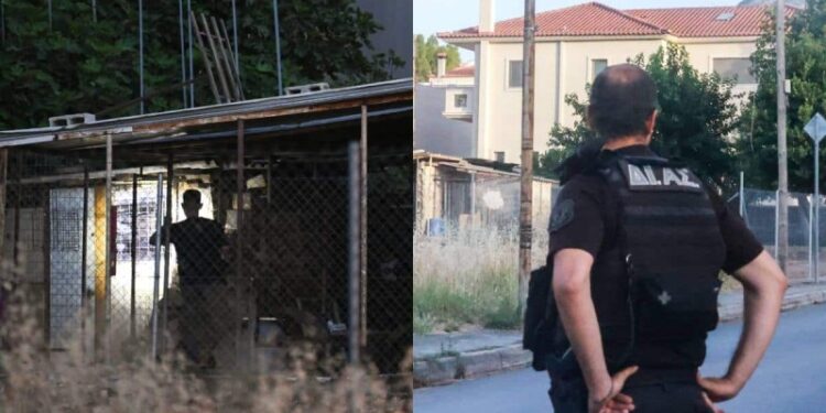 Έγκλημα στον Διόνυσο: «Τον βρήκε καρφωμένο στο στήθος και παγωμένο» – Συγκλονιστική μαρτυρία για τον 40χρονο (φωτο)