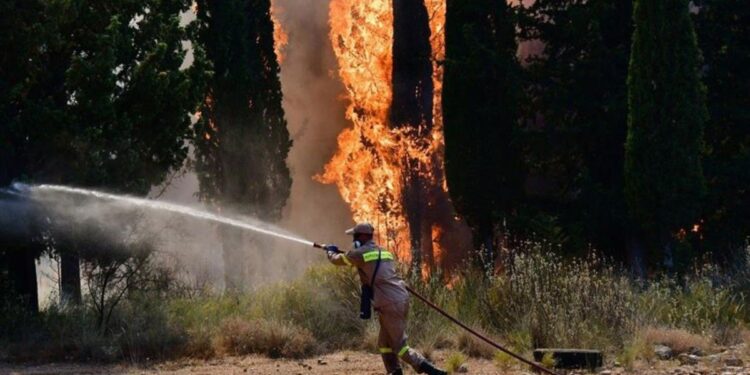 Alldaynews.gr Φωτιά στο Μάτι: Καίει ανάμεσα σε σπίτια – Εστάλη μήνυμα 112