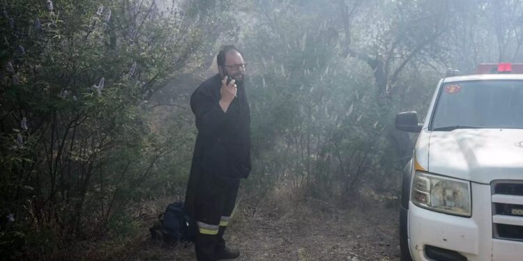 Alldaynews.gr Ένας 67χρονος έκανε εργασίες 10 μέτρα από το δάσος και έκαψε 1200 στρέμματα στη Λίμνη Βόλβη