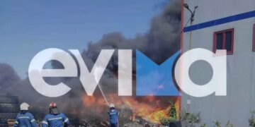 Alldaynews.gr Φωτιά στη βιομηχανική ζώνη στη Ριτσώνα: Καίγεται το εργοστάσιο Παπουτσάνη (φωτο, video)