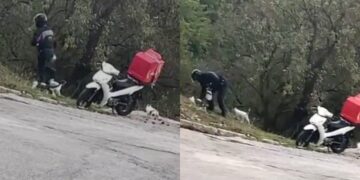 Alldaynews.gr Κάνει τον κόσμο μας πιο όμορφο: Διανομέας κάθε πρωί και βράδυ περνάει από το σημείο και ταΐζει αδέσποτα γατάκια