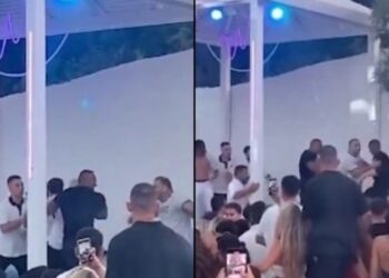 Μυθικό ξύλο σε μαγαζί της Χαλκιδικής υπό τους ήχους techno μουσικής (video)