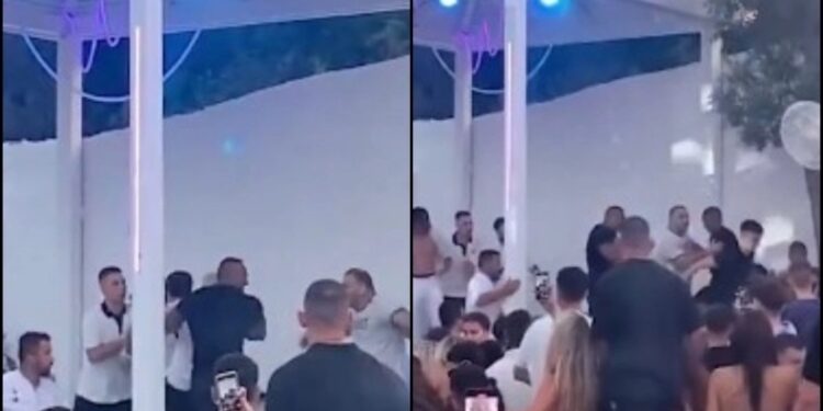 Μυθικό ξύλο σε μαγαζί της Χαλκιδικής υπό τους ήχους techno μουσικής (video)