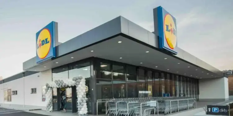 «Σαρώνουν» τα Lidl: «Τρώνε τη σκόνη του» Σκλαβενίτης και ΑΒ Βασιλόπουλος – Πως πήρε την πρωτιά