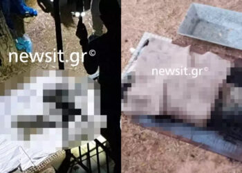 Φρίκη στα Λιόσια: Βρέθηκε πτώμα τεμαχισμένο και καμμένο – Ο γιος του φέρεται να τον έκαψε (φωτο, video)