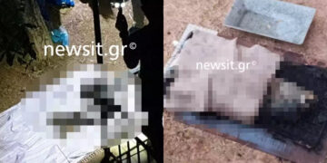 Alldaynews.gr Φρίκη στα Λιόσια: Βρέθηκε πτώμα τεμαχισμένο και καμμένο – Ο γιος του φέρεται να τον έκαψε (φωτο, video)