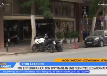 Alldaynews.gr J2US – Καίτη Γαρμπή: “Συγκλόνισε το πανελλήνιο ο Διονύσης με την πρόταση γάμου, έτσι κάνουν οι σωστοί άνδρες”