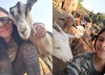 Μαρία Ρέτσα: Η 20χρονη κτηνοτρόφος ξυπνάει στις πέντε το πρωί, βόσκει 100 πρόβατα στην Εύβοια και δίνει ελπίδα για τη νέα γενιά