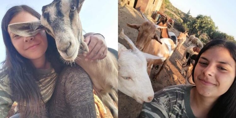 Alldaynews.gr Μαρία Ρέτσα: Η 20χρονη κτηνοτρόφος ξυπνάει στις πέντε το πρωί, βόσκει 100 πρόβατα στην Εύβοια και δίνει ελπίδα για τη νέα γενιά