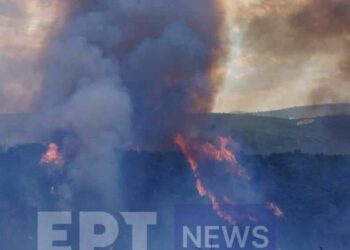 Μεγάλη φωτιά στις Σέρρες: Ενισχύθηκαν οι δυνάμεις στη Νιγρίτα – Στη “μάχη” 7 αεροσκάφη και 3 ελικόπτερα (video)