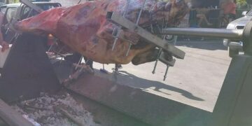 Alldaynews.gr Ταύρος 215 κιλών σουβλίζεται σε χωριό των Χανίων και οι φιλόζωοι ξεσπούν για τις εικόνες και την αφίσα