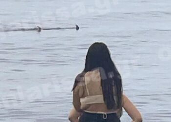 Λάρισα: Τα… «χρειάστηκαν» οι λουόμενοι – Καρχαρίας κάνει τη βόλτα του δίπλα στην παραλία