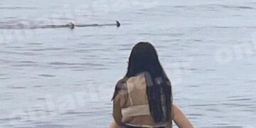 Λάρισα: Τα… «χρειάστηκαν» οι λουόμενοι – Καρχαρίας κάνει τη βόλτα του δίπλα στην παραλία