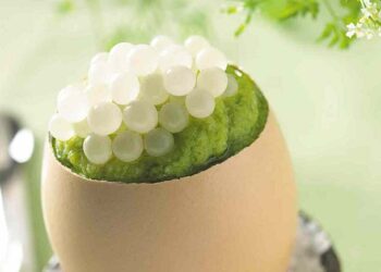 Πέτυχαν το ακατόρθωτο: Έλληνες μαθητές έφτιαξαν χαβιάρι από σαλιγκάρια – Κοστίζει 3 χιλιάρικα το ένα κιλό