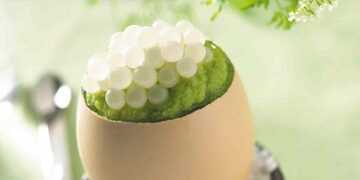 Alldaynews.gr Πέτυχαν το ακατόρθωτο: Έλληνες μαθητές έφτιαξαν χαβιάρι από σαλιγκάρια – Κοστίζει 3 χιλιάρικα το ένα κιλό