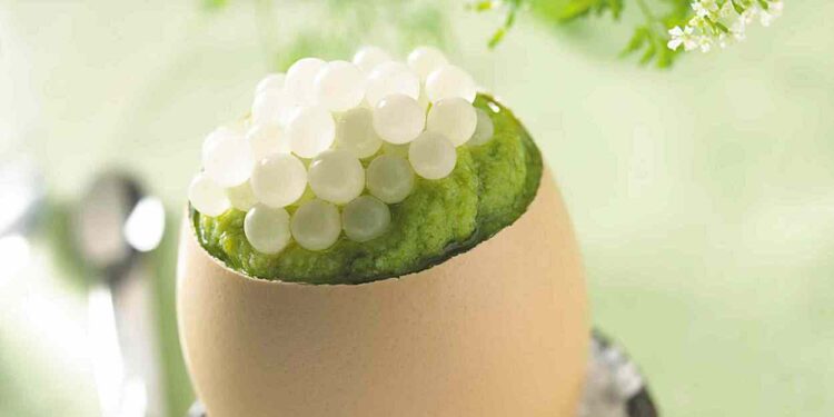 Alldaynews.gr Πέτυχαν το ακατόρθωτο: Έλληνες μαθητές έφτιαξαν χαβιάρι από σαλιγκάρια – Κοστίζει 3 χιλιάρικα το ένα κιλό