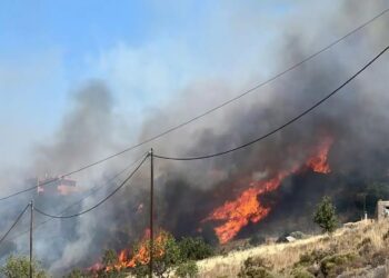 Alldaynews.gr Νέα μεγάλη φωτιά τώρα: Ήχησε το 112, κινδυνεύουν σπίτια – Στη μάχη Πυροσβέστες, εναέρια & εθελοντές