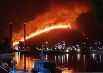 Alldaynews.gr Μεγάλη φωτιά τώρα: Γιγαντώνεται το μέτωπο – «Μάχη» να μην κατέβει την πλαγιά του βουνού