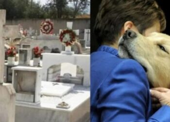 Ήταν οικογένεια: Κρητικός άνοιξε τον οικογενειακό τάφο για να θάψει τον αγαπημένο του σκύλο