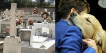 Ήταν οικογένεια: Κρητικός άνοιξε τον οικογενειακό τάφο για να θάψει τον αγαπημένο του σκύλο