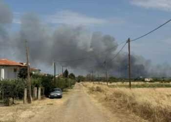 Φωτιά στην περιοχή Αμπελάκια: Επιχειρούν 5 αεροπλάνα & 1 ελικόπτερο – Μήνυμα του 112 στους κατοίκους για εκκένωση